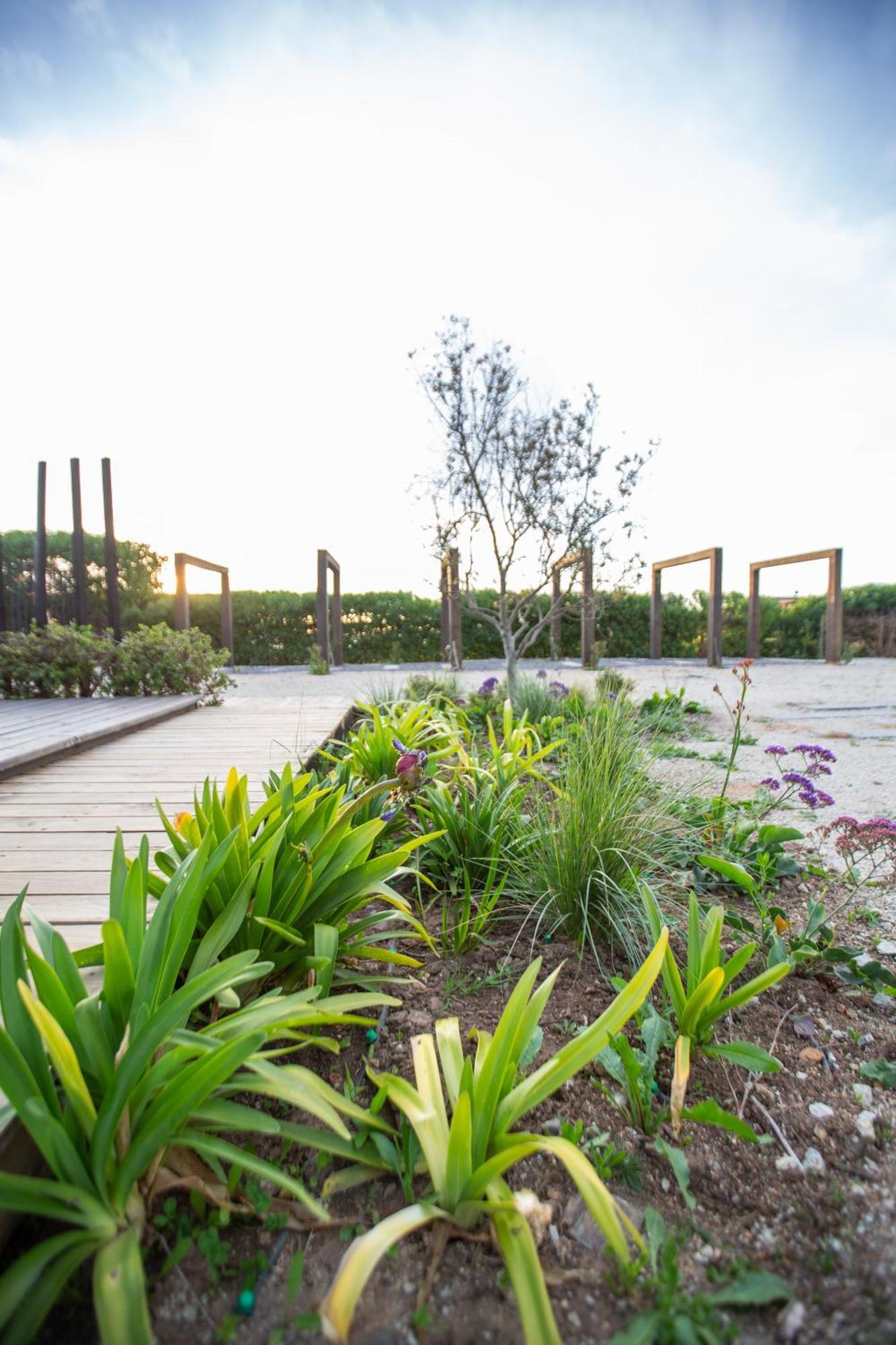 Villa Refugio Lobos Pichilemu Exterior foto